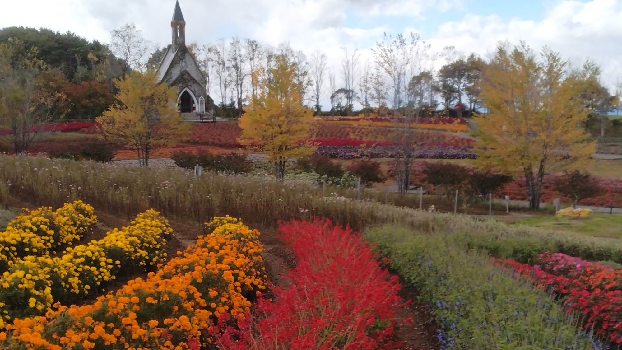 *【ひるがの高原 牧歌の里（秋）】当館より車で7分。ファミリーに大人気のテーマパーク。