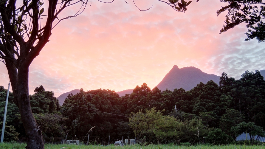 【ガイド手配代行★白谷雲水峡太鼓岩（1日コース）】標高1，050ｍのパノラマを一望　※ガイド代別途