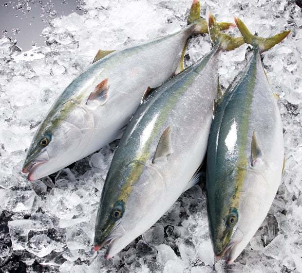 【12月9日開催】寒ブリ祭り！！魚とお酒のふるまいの会