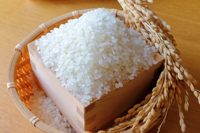 【実りの秋♪新米を味わう】夕食は「新潟の海の幸と和牛のカジュアルフレンチコース」 