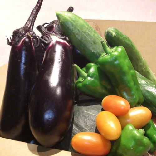 【お盆限定（8月8日〜14日）】竹林を涼しい風が吹き抜ける・・・夏野菜たっぷり創作会席プラン♪