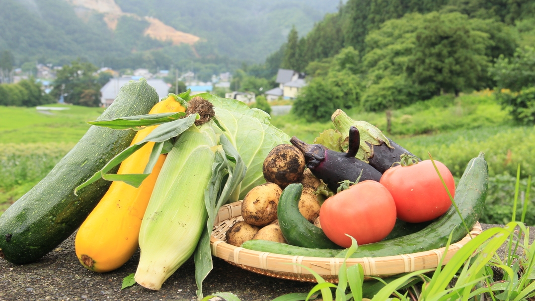 高原の野菜畑で農業体験！自家栽培のおいしい野菜と自慢の焼きたてピザを堪能♪《1泊2食付》