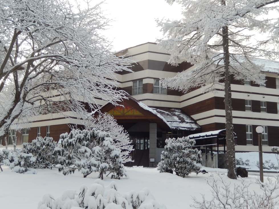 自由気ままに一人旅プラン