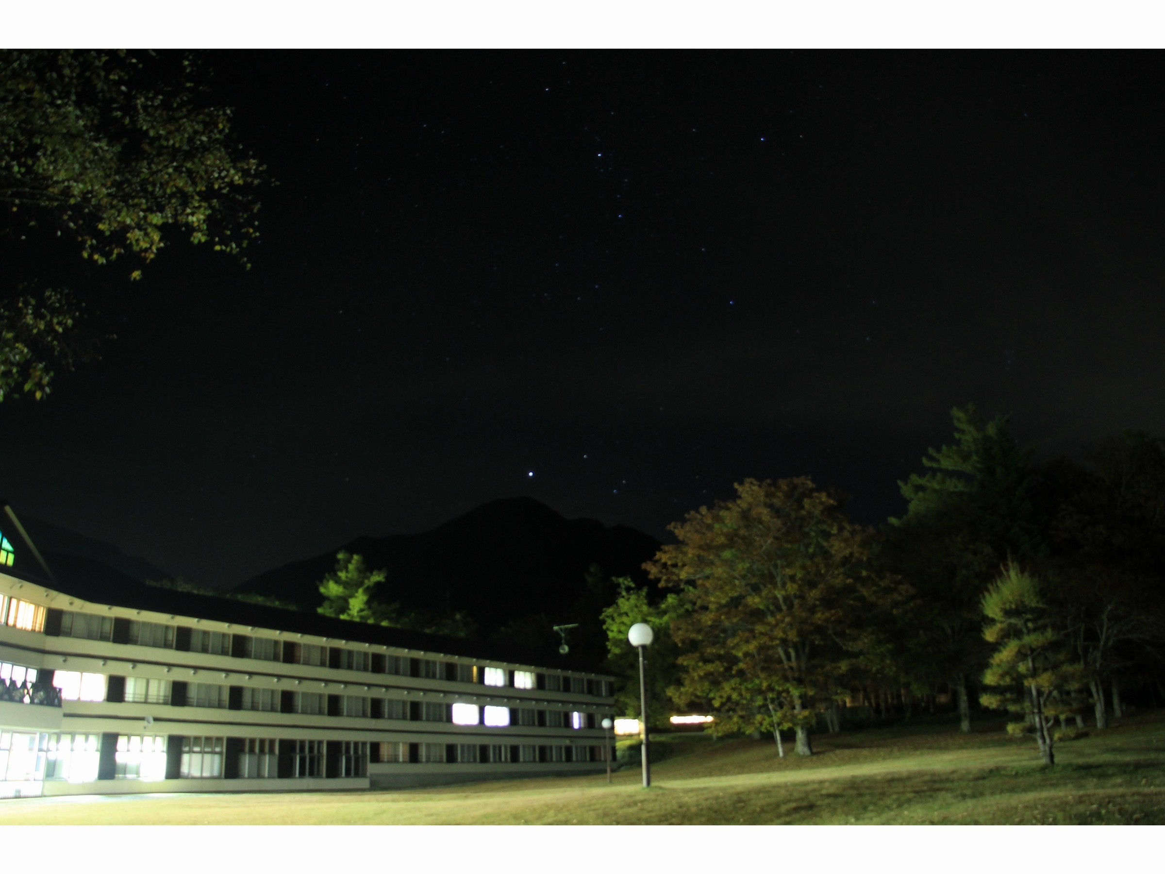 ★A5ランクとちぎ和牛を食すしゃぶしゃぶプラン★夕食時ワンドリンク付