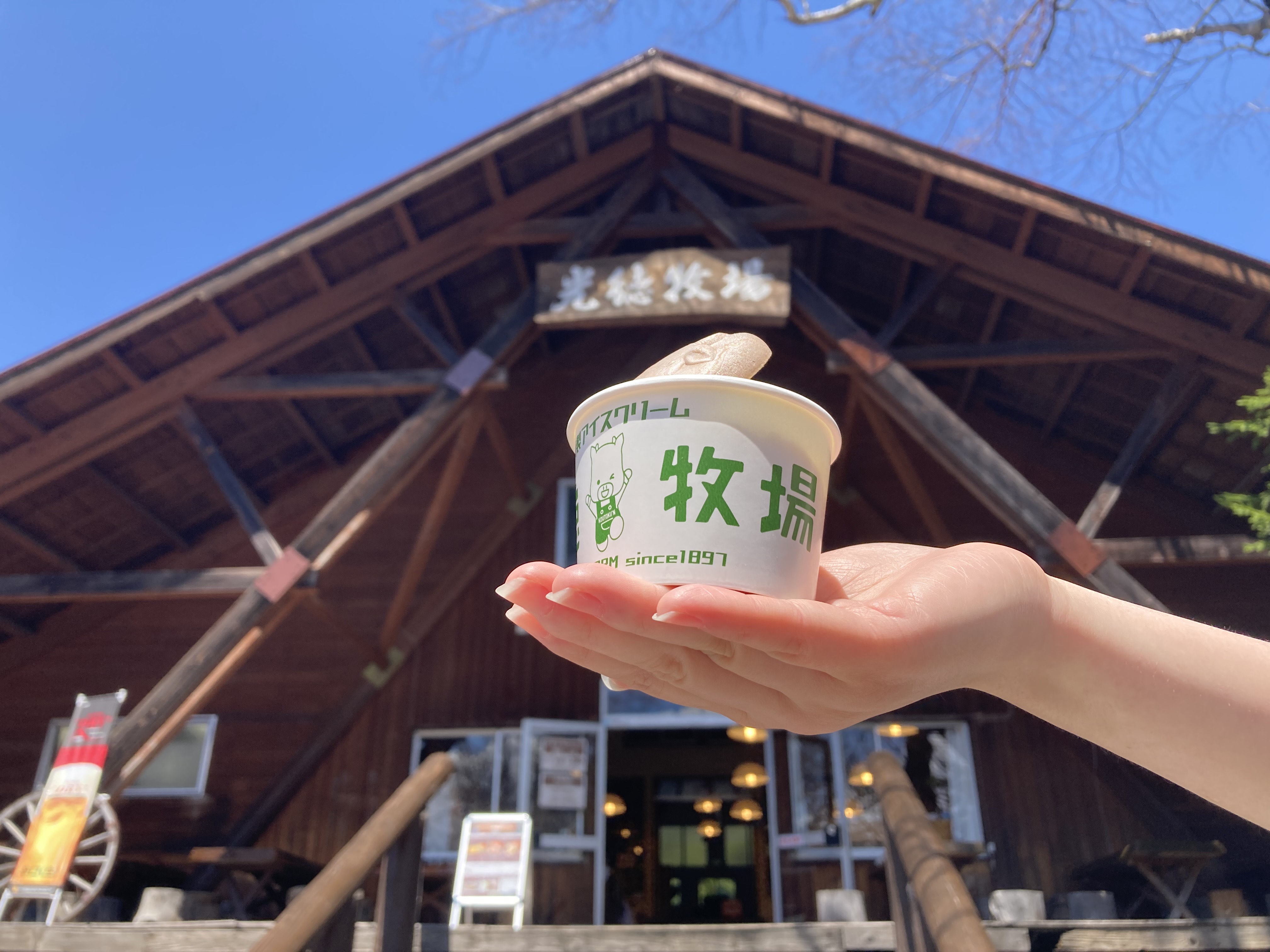 光徳牧場アイス