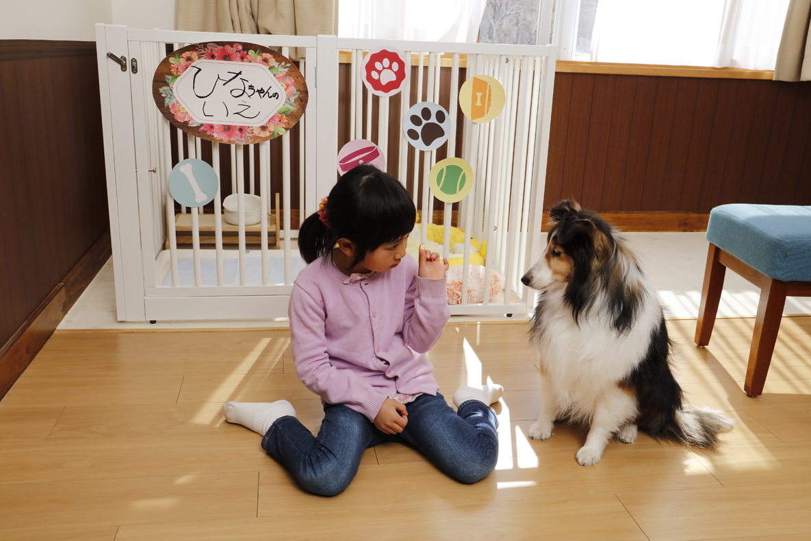 ワンちゃんと泊まれるお部屋4