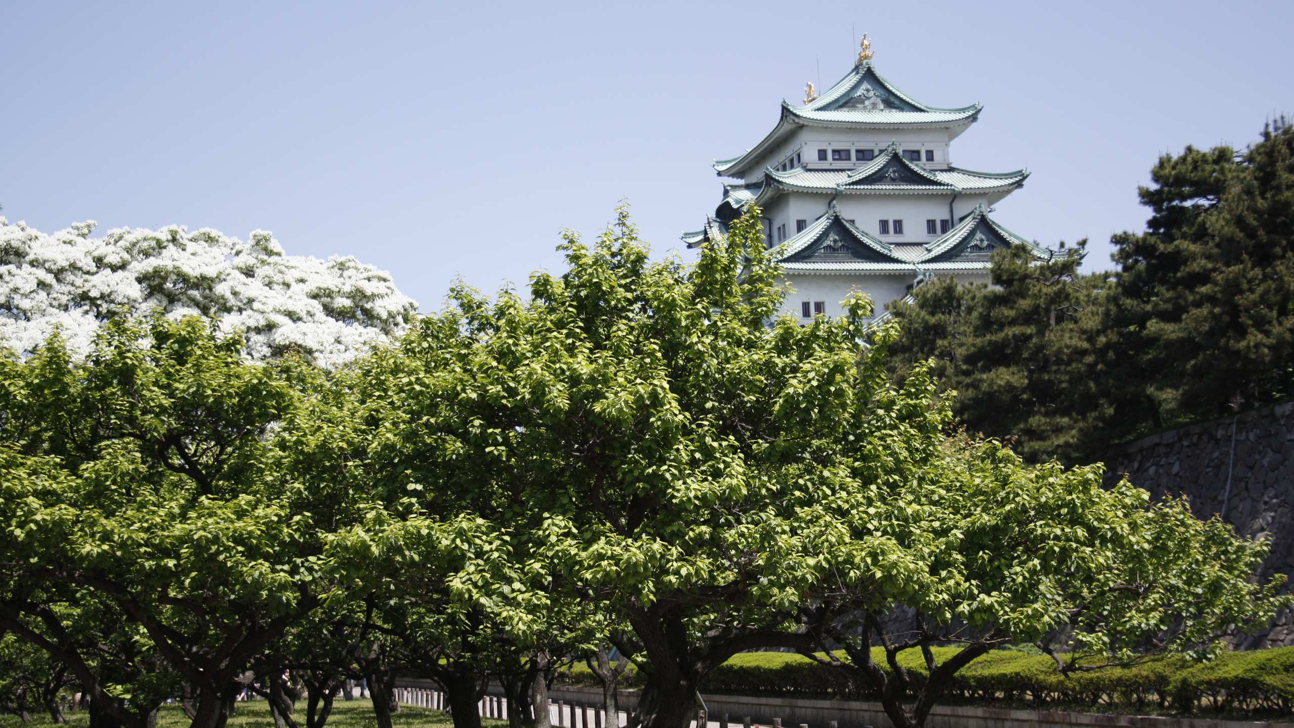 名古屋城　夏