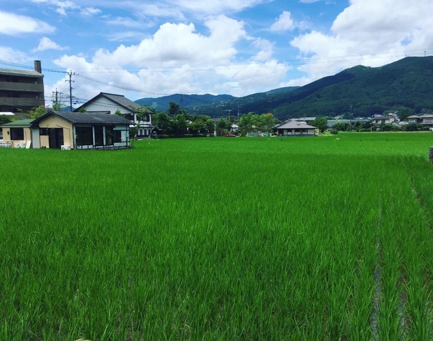 風景