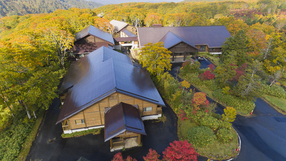 *【紅葉】赤や黄色に彩られた雄大な山々