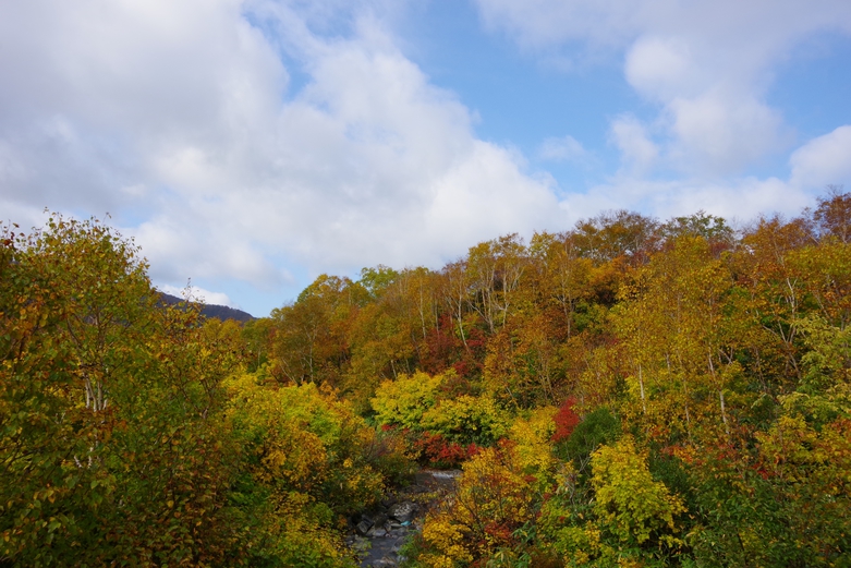 【和食会席×スタンダード】青森の恵みを味わう和の夕べ