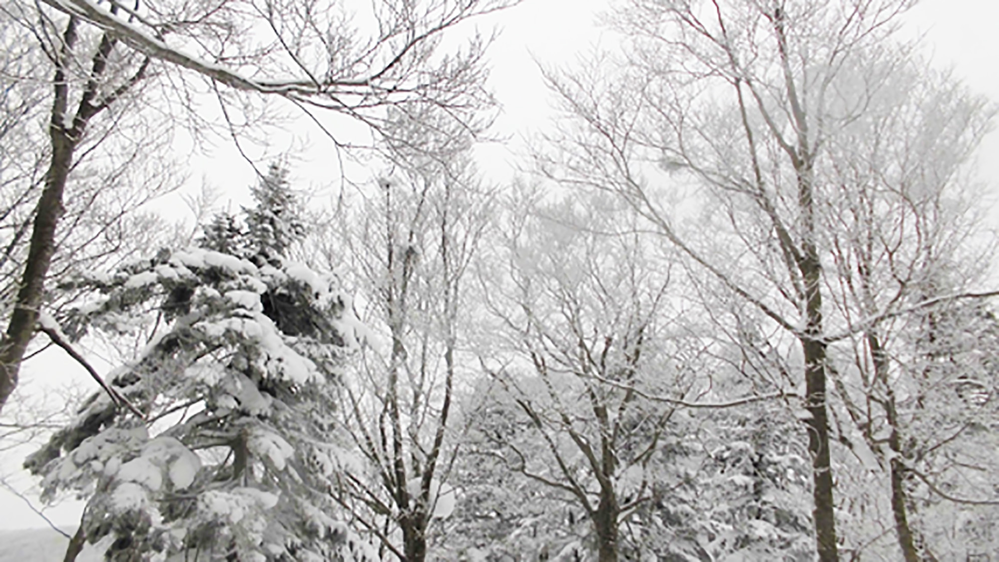 *【雪景色】白銀の世界に包まれる雪景色は、圧倒的！