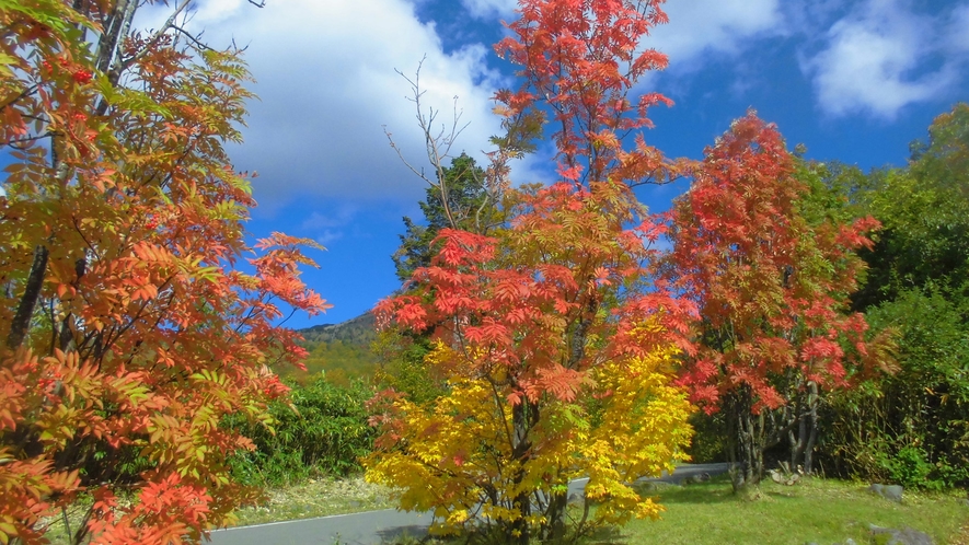 *【紅葉】秋景色①