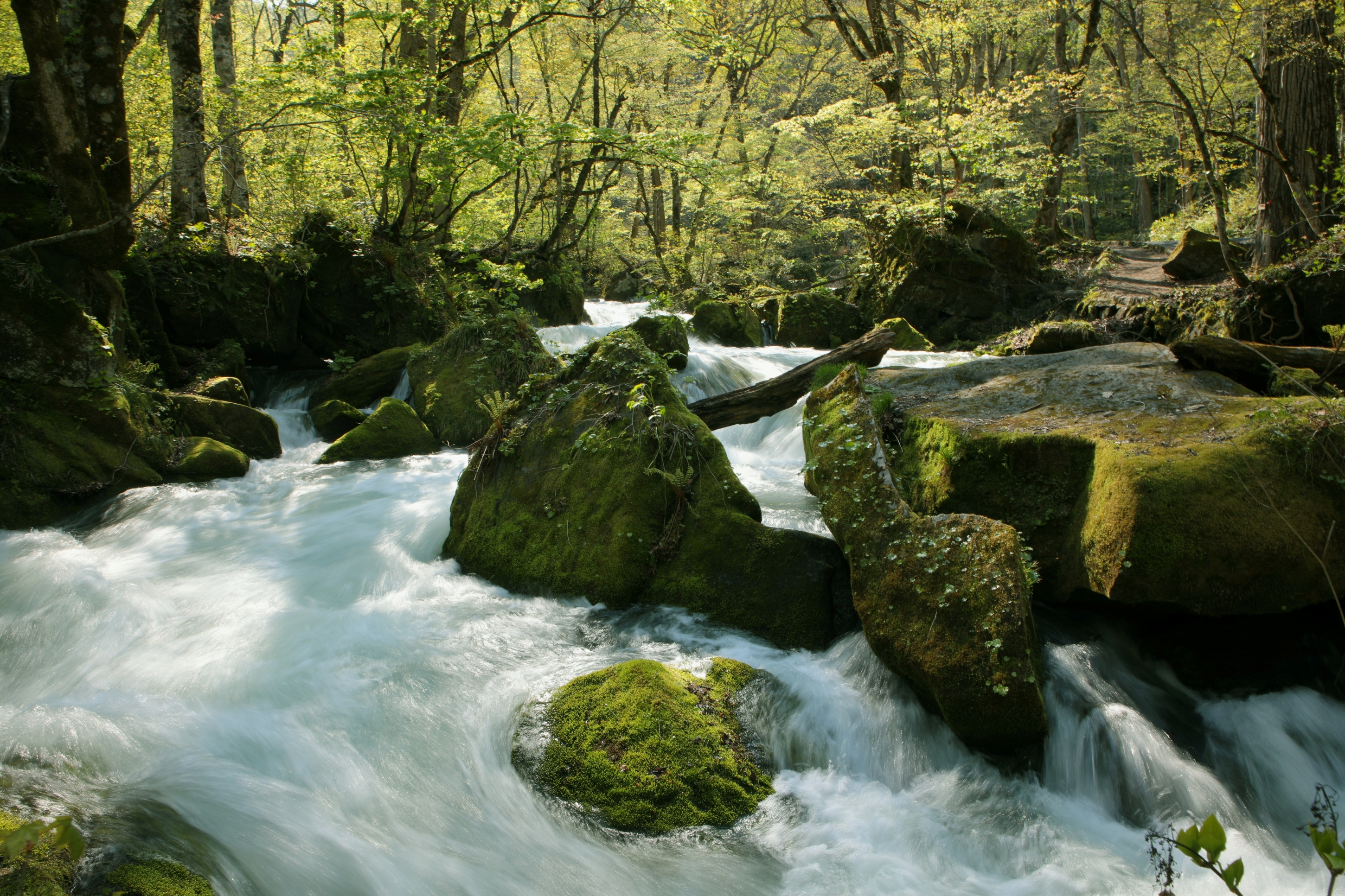 奥入瀬・阿修羅の流れ