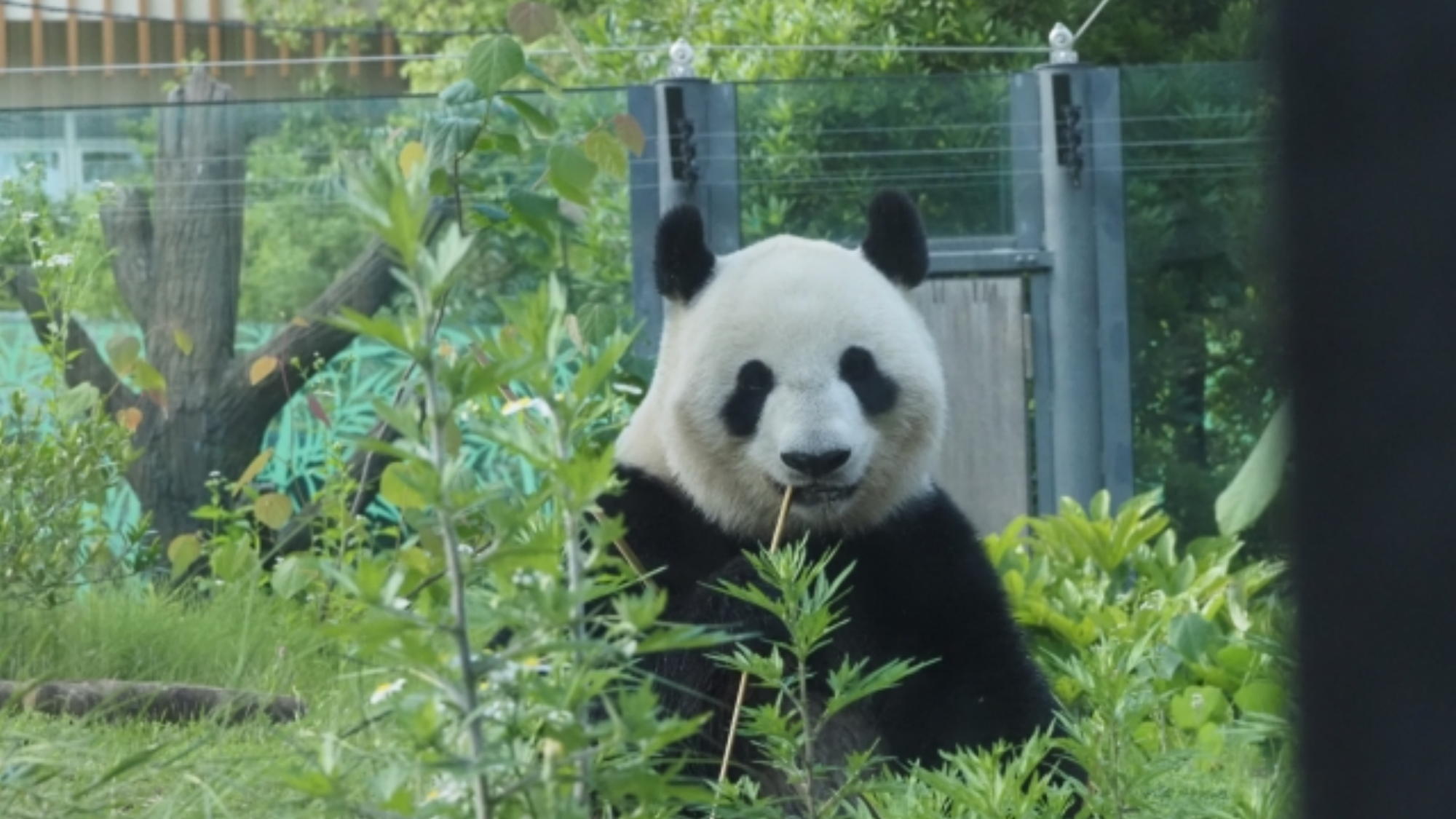 ■上野動物園｜公共交通機関で約20分