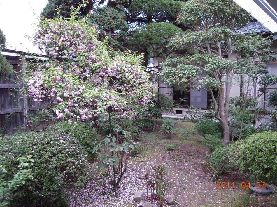 Vườn
