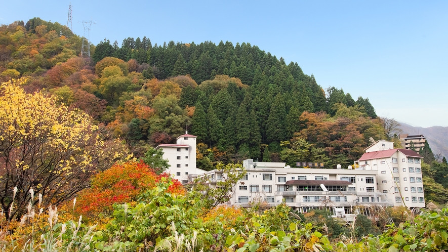 【外観】トロッコ電車から眺めた絶景は当館でもご覧いただけます。