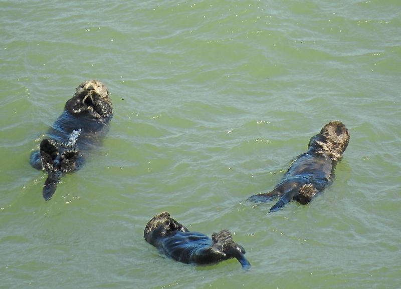 一部屋使用で無料軽朝食つきプラン