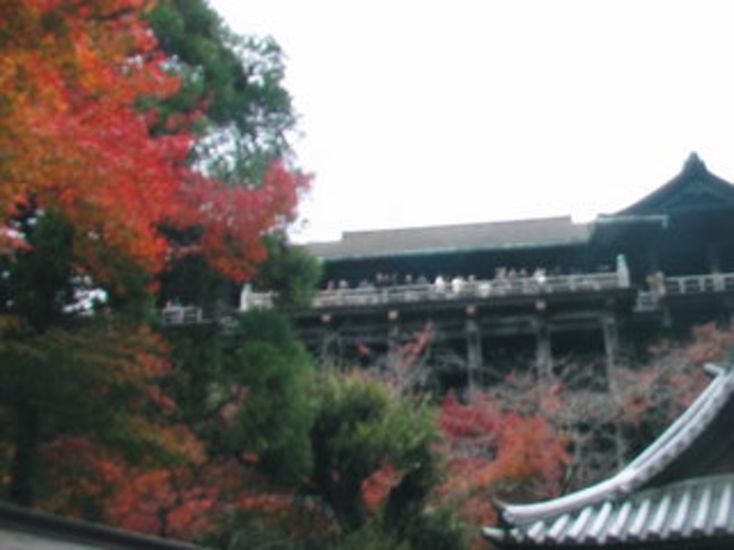 紅葉の東福寺