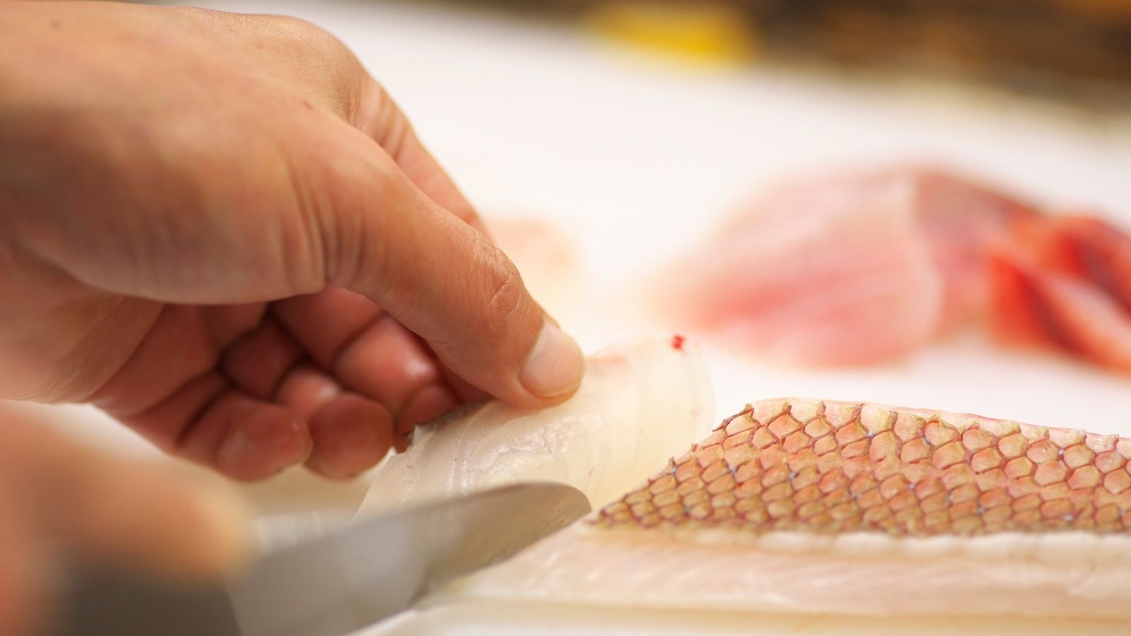 料理（イメージ）