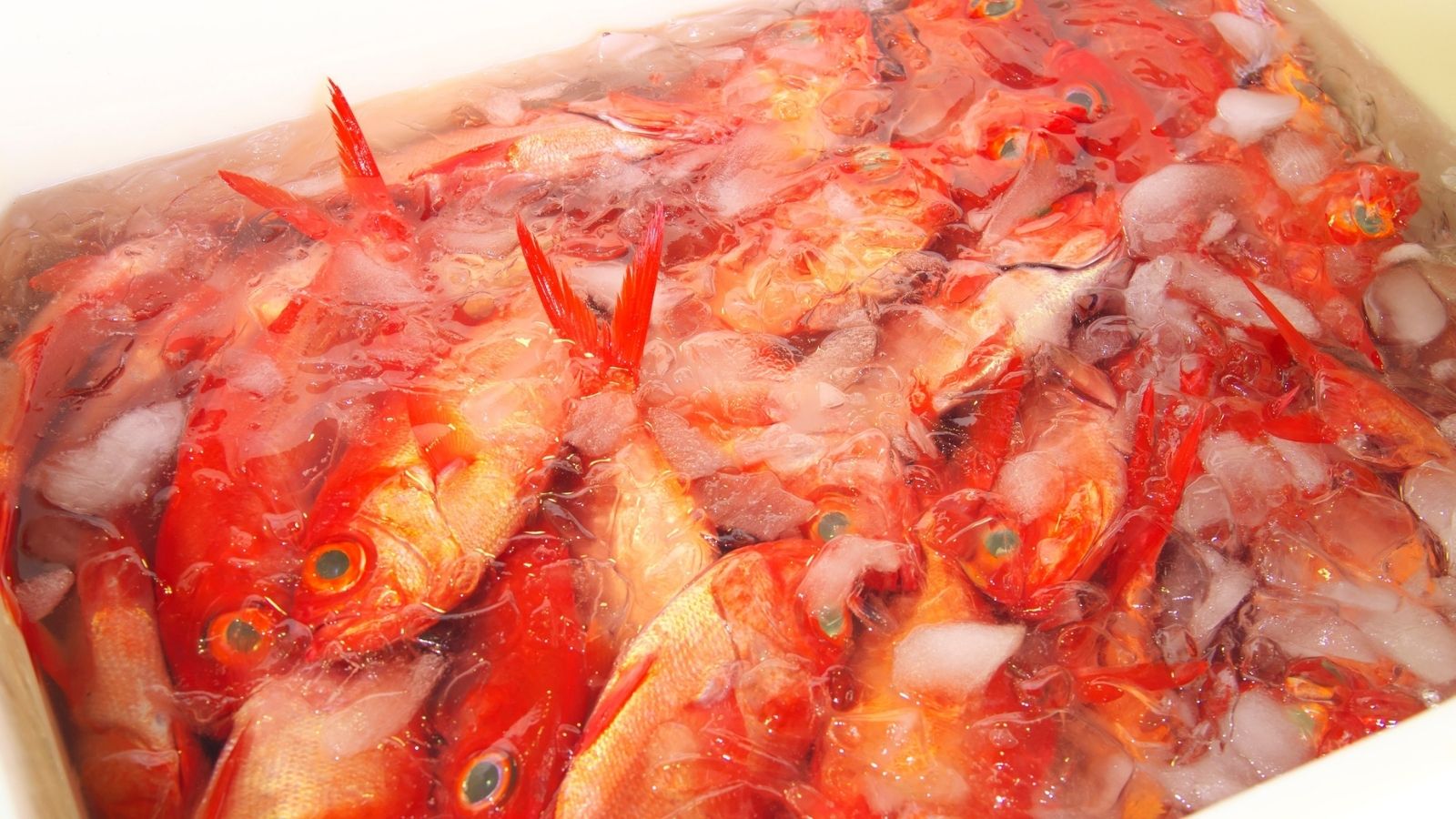 お食事のお支度