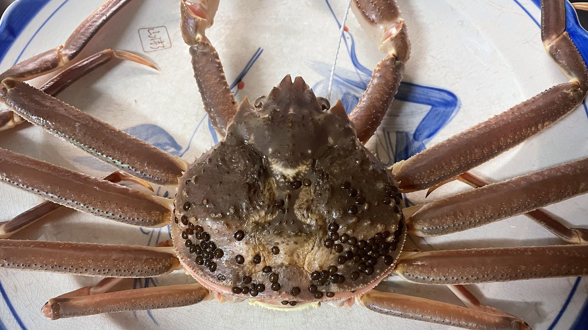 ・【カニ料理】活けカニの甘みと旨みを存分に。刺身、炭火焼を心ゆくまでお楽しみください