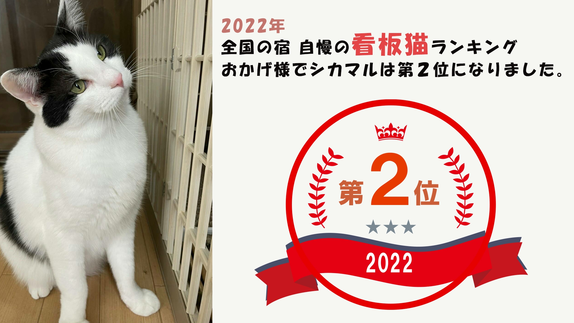 楽天トラベル 大分マリーンパレス水族館 うみたまご 周辺のホテル 旅館 楽天トラベル 大分マリーンパレス水族館 うみたまご 周辺のホテル 旅館