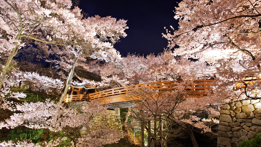 *【高遠城址公園】さくら名所100選にも選ばれ、1500本の桜が咲き乱れます。