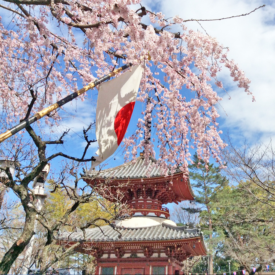 喜多院 多宝塔