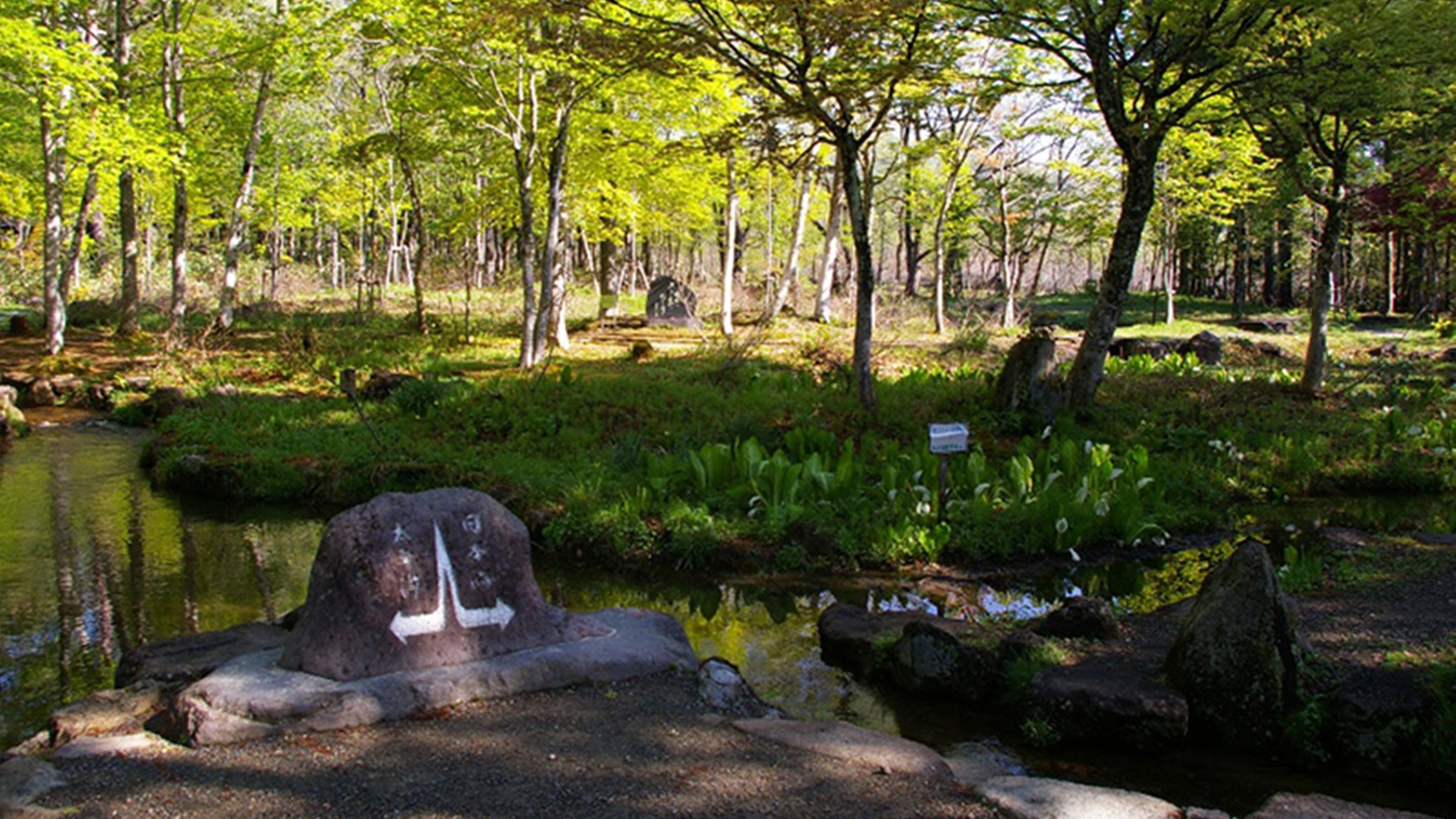 *【ひるがのの自然】分水嶺公園