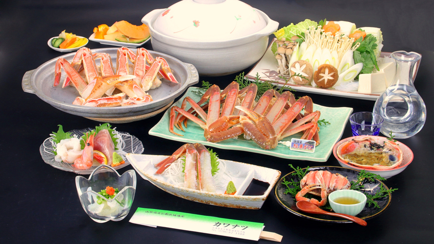 【訳あり】品質は同じタグ付浜坂産活松葉ガニフルプラン☆