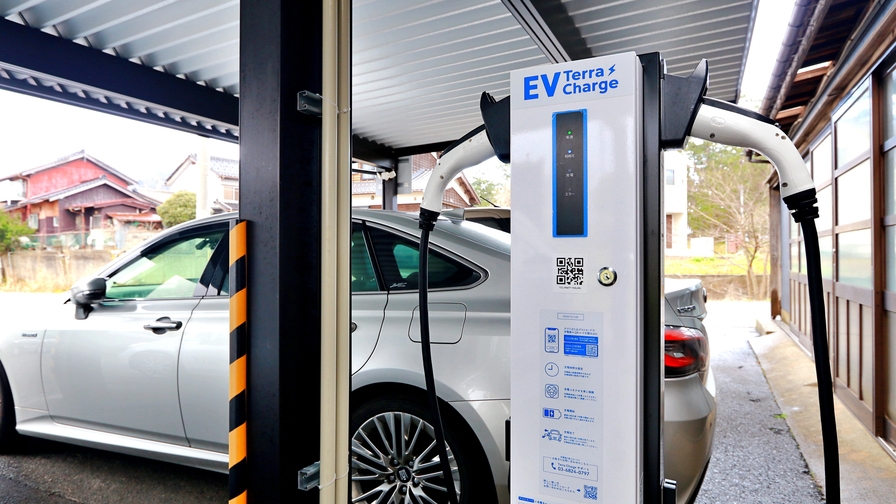 〔蟹刺し無し〕浜坂産活松葉ガニプラン