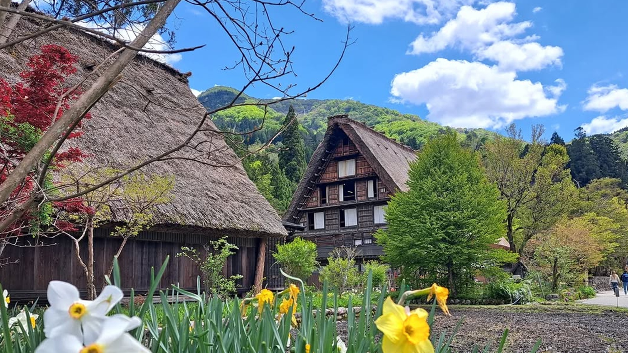 *白川郷（春）