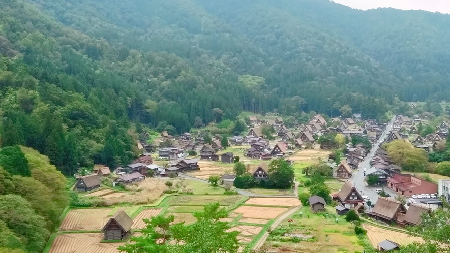 夏の白川郷