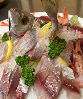 当日朝取れる地魚でお造りします　カイワリがこの日はお頭