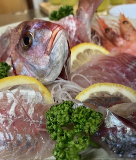 この日の地魚は春の鯛&rdquo;桜鯛&ldquo;がメインのお刺身