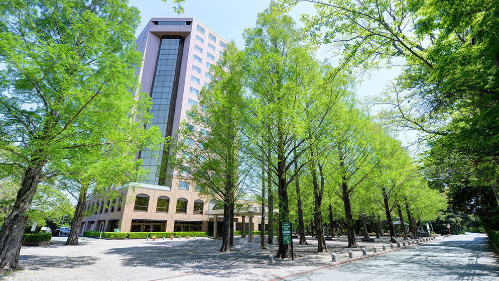 ホテルトリニティ書斎