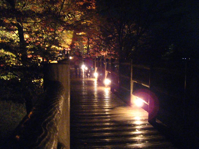 ≪紅葉まつり≫