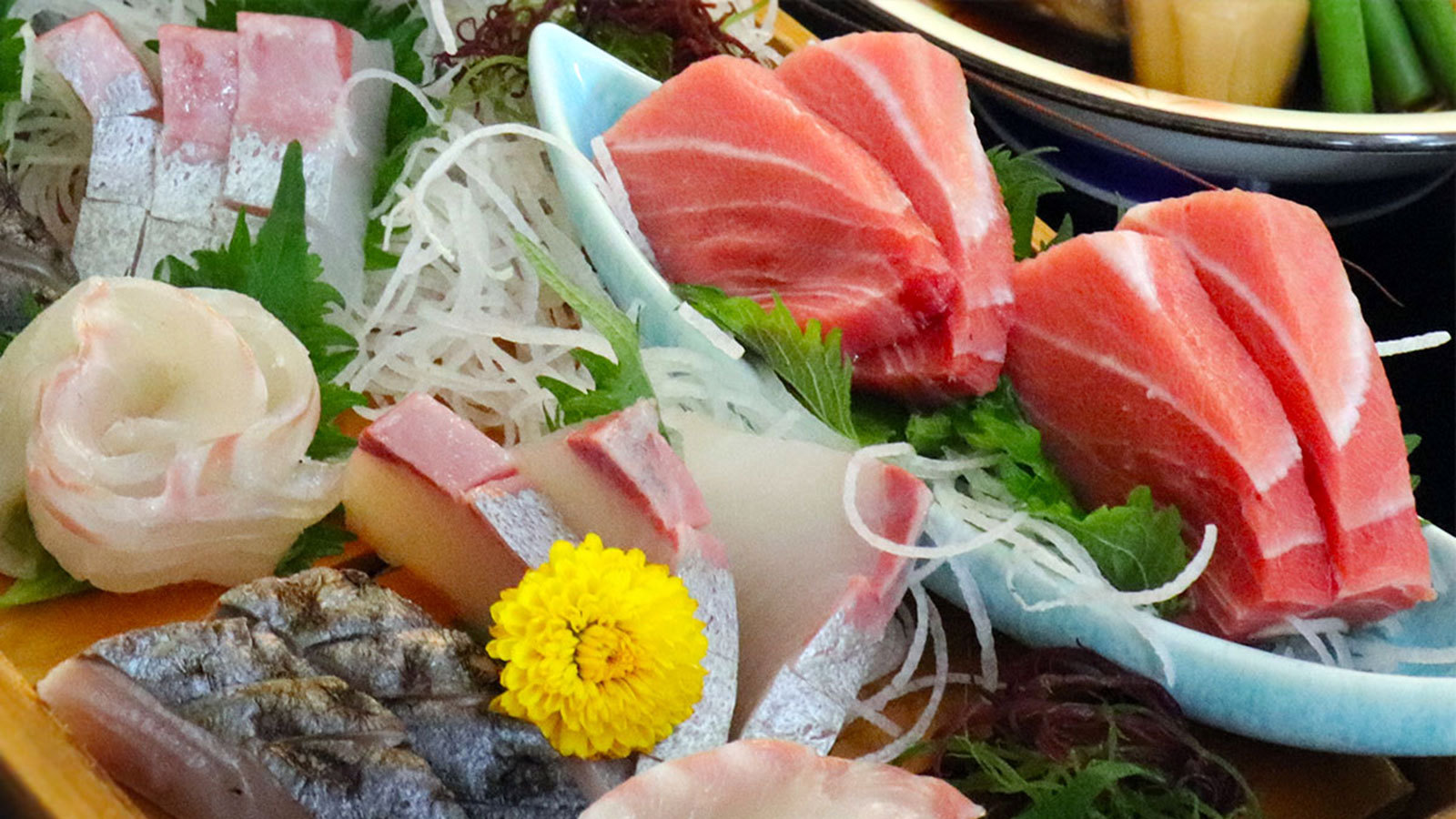 【旬のお刺身盛合わせ会席プラン】料理長渾身の海鮮！地の新鮮な魚介の魅力で勝負（現金お支払い特価）