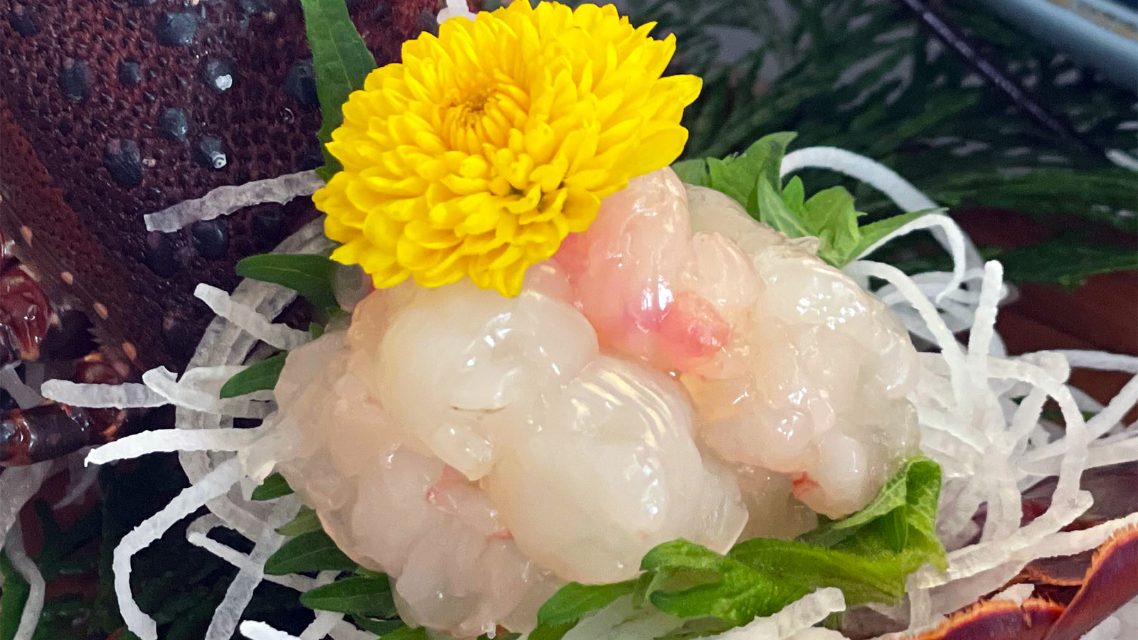 伊勢えびお造り