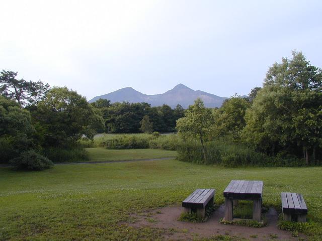 楽天トラベル 楽天市場