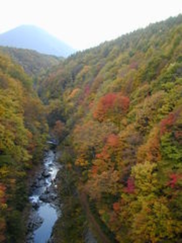 紅葉の中津川