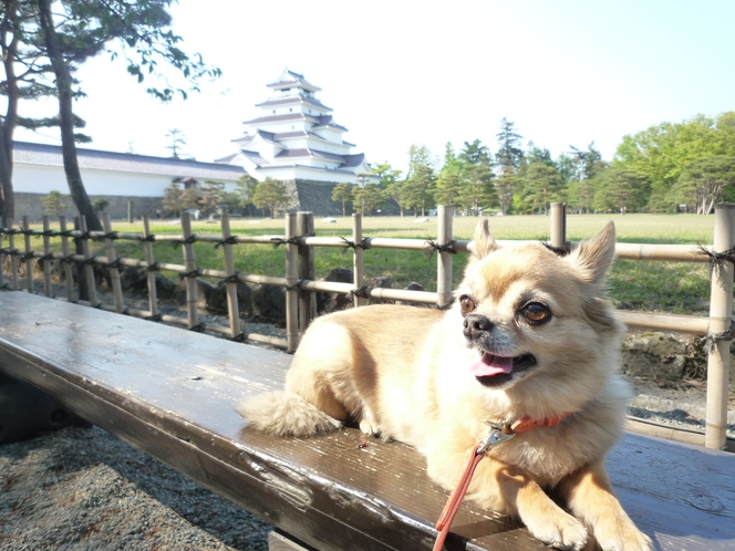 トムテ君と鶴ヶ城