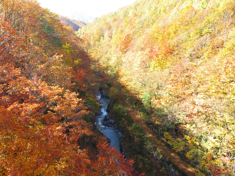 紅葉の中津川渓谷