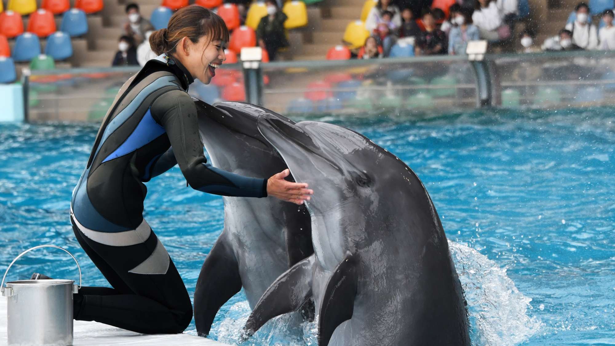 アドベンチャーワールド※イメージ