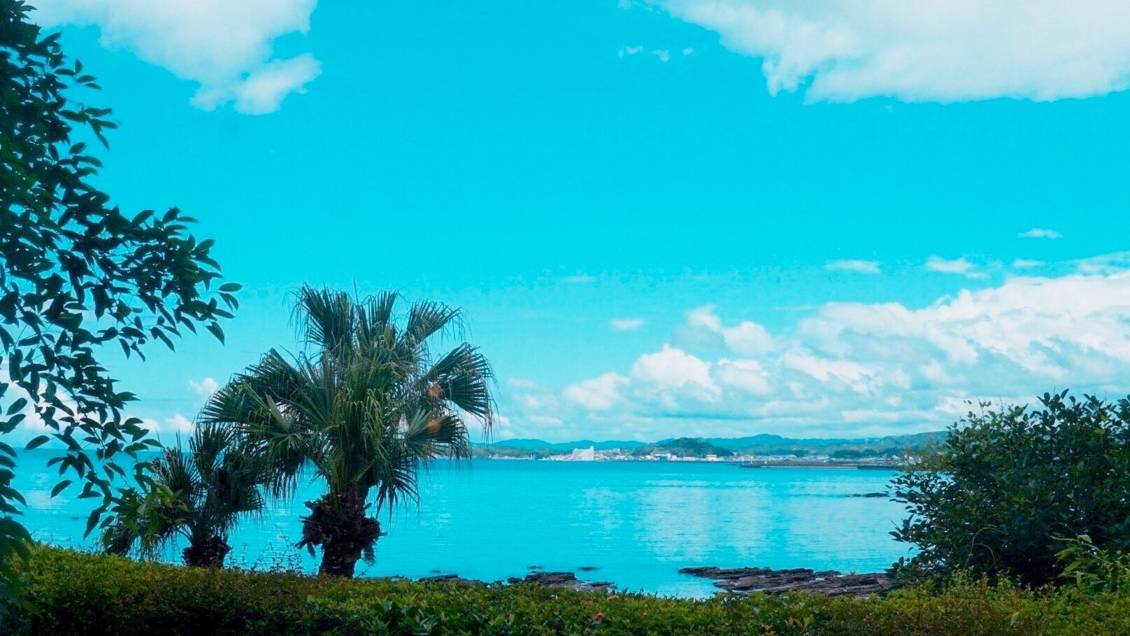 レストラン会場からの景色