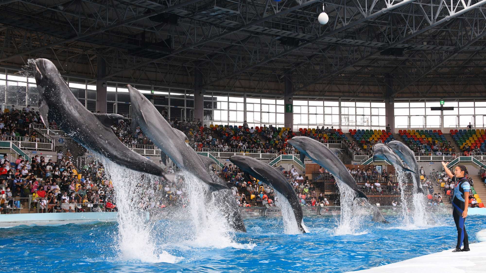 アドベンチャーワールド※イメージ