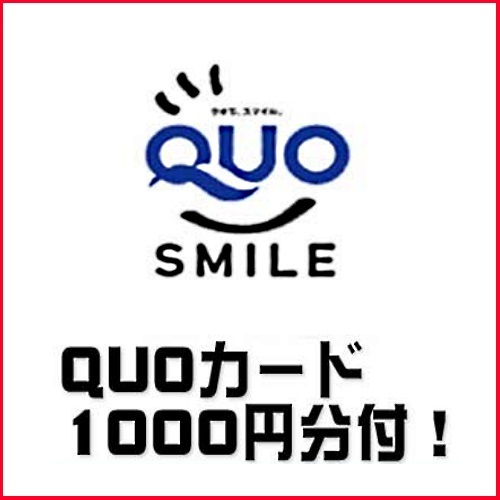 【素泊まり】出張に！旅行に！貰って嬉しいQUOカード1，000円付