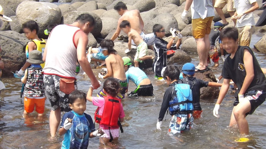 夏だ！海だ！磯遊びだ！ファミリーで満喫1泊2食付バイキングプラン