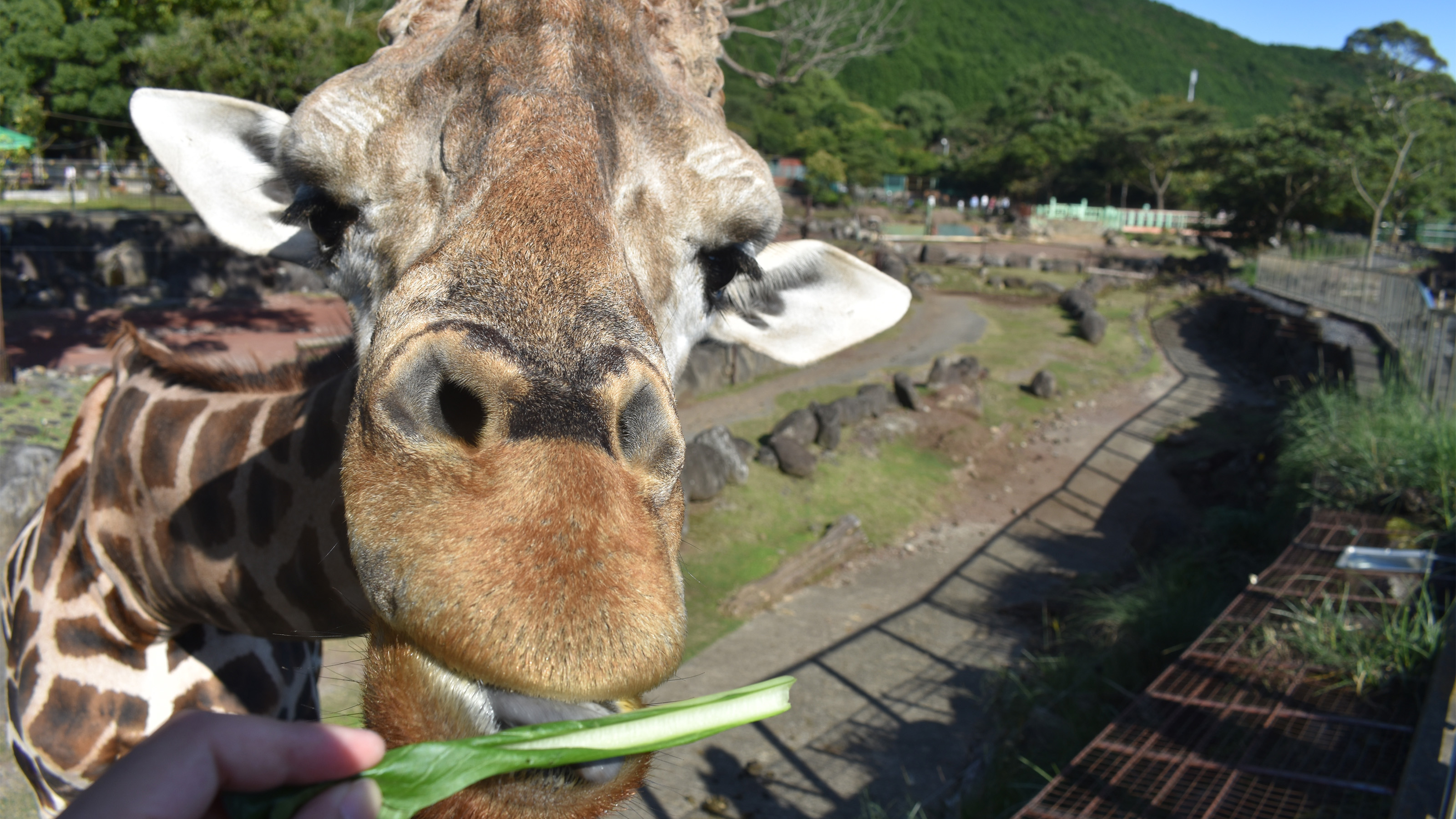 伊豆アニマルキングダム