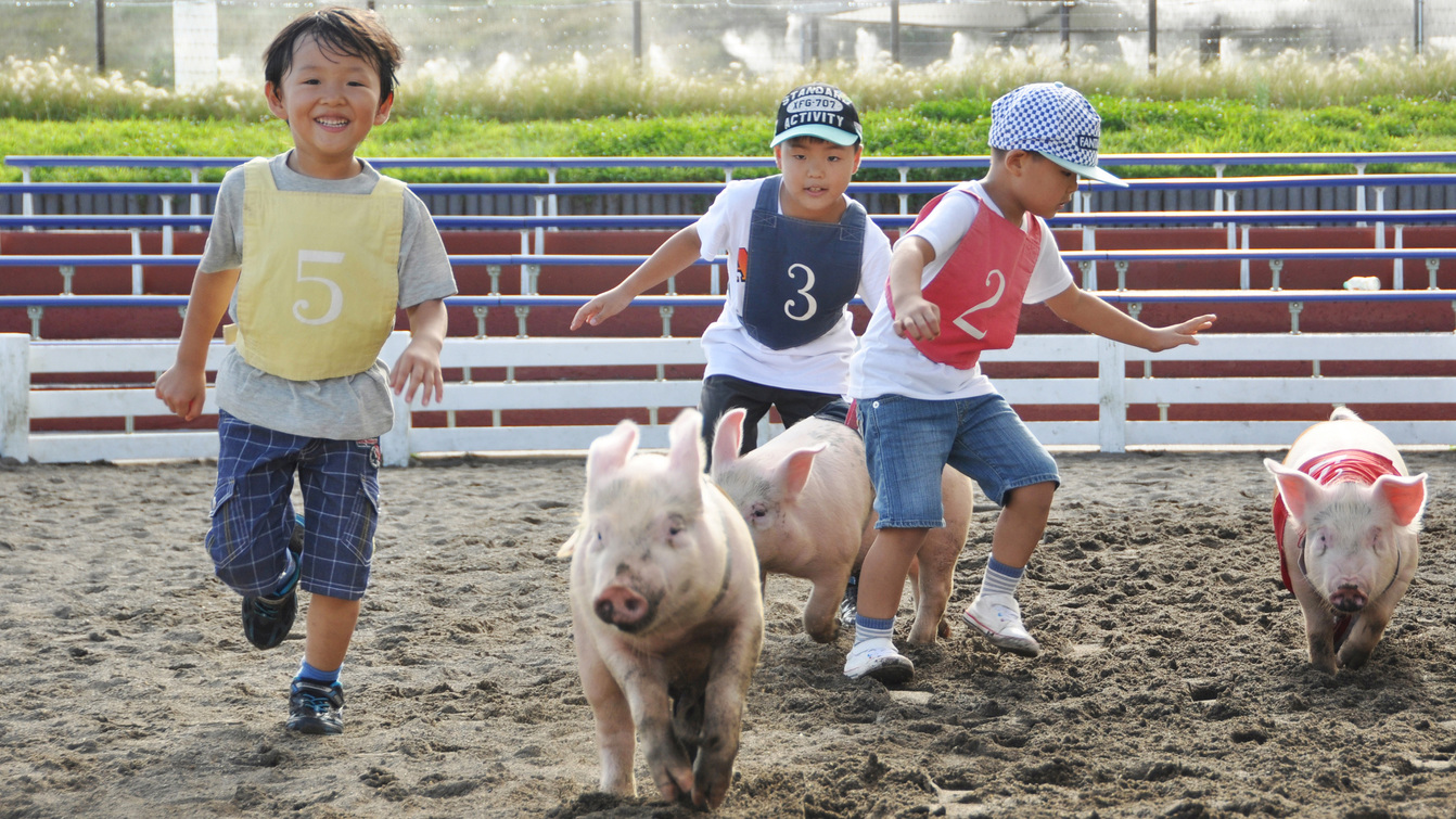 【ファミリーにおすすめ】家族旅行におすすめな千葉観光スポット 1泊2食バイキングプラン